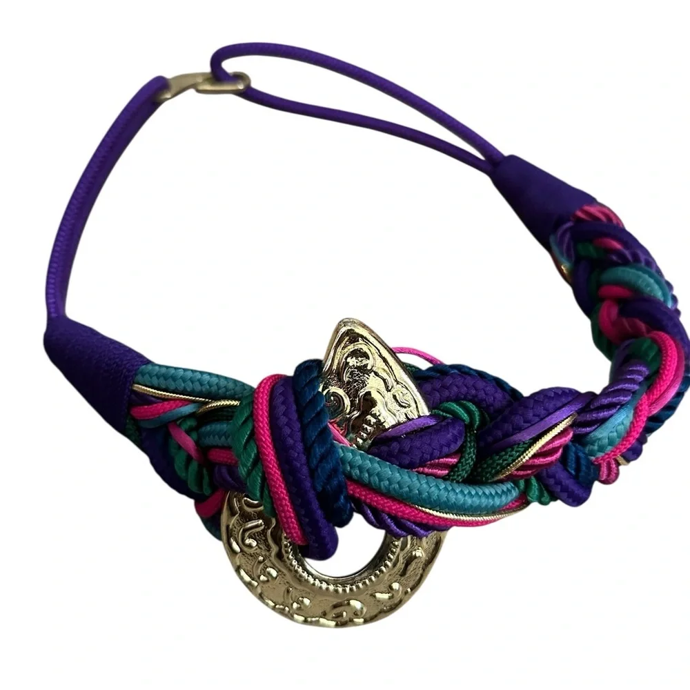 Multicolor Braided Belt with Gold Accent - Picture 1 of 7